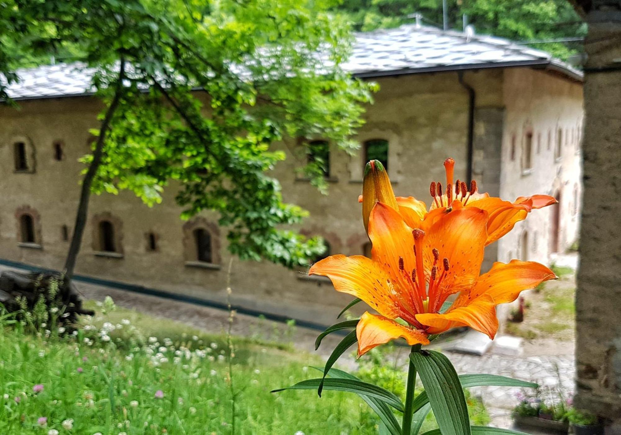 Hostel Forte di Machaby Arnad Exterior foto